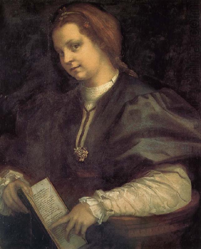 Andrea del Sarto Take the book portrait of woman china oil painting image